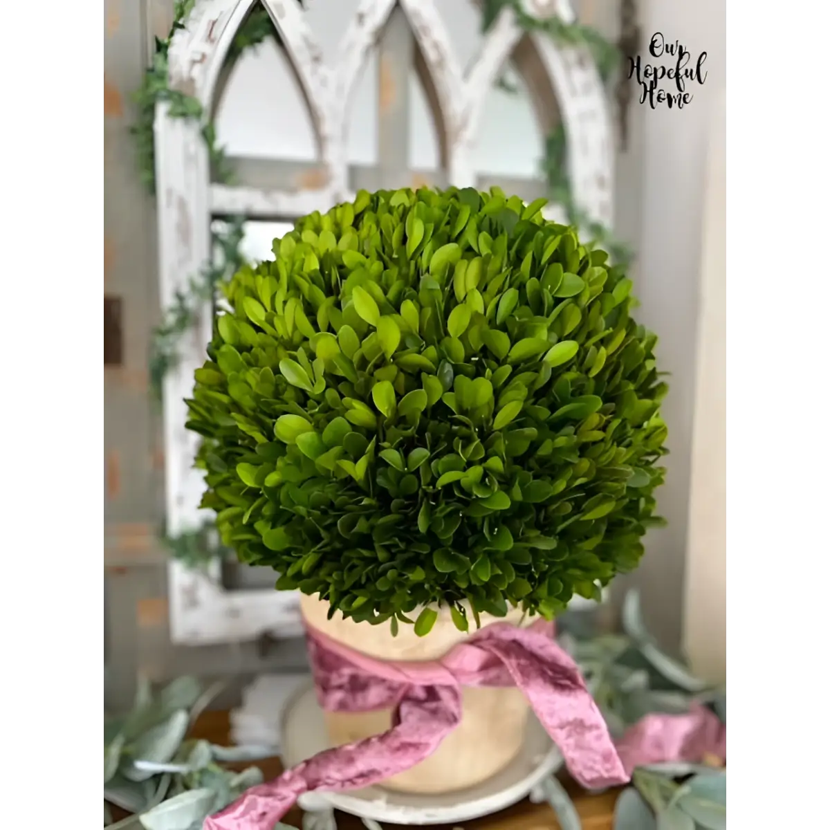 15” Boxwood Ball Preserved Plant in Planter - Nearly Natural
