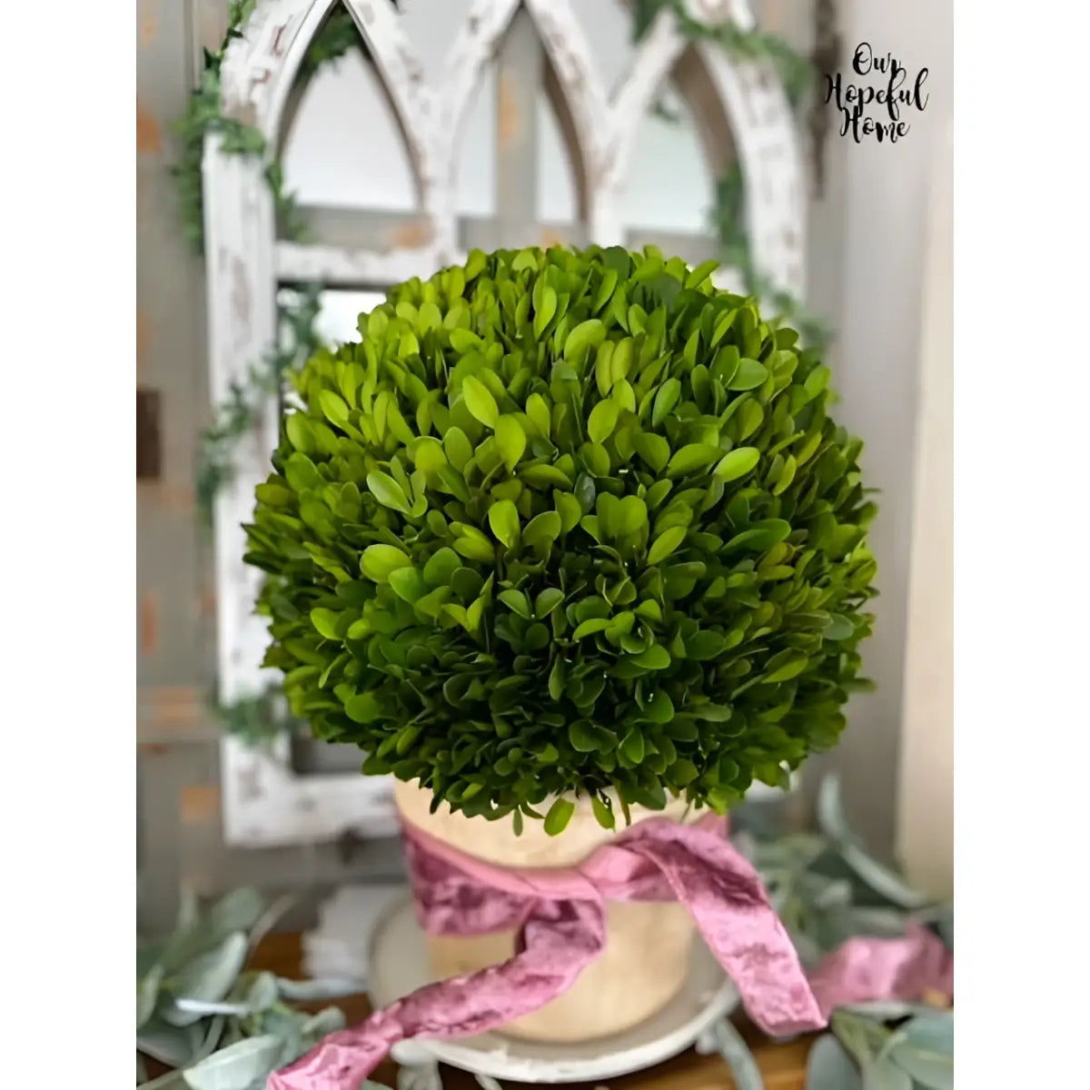 15” Boxwood Ball Preserved Plant in Planter - Nearly Natural