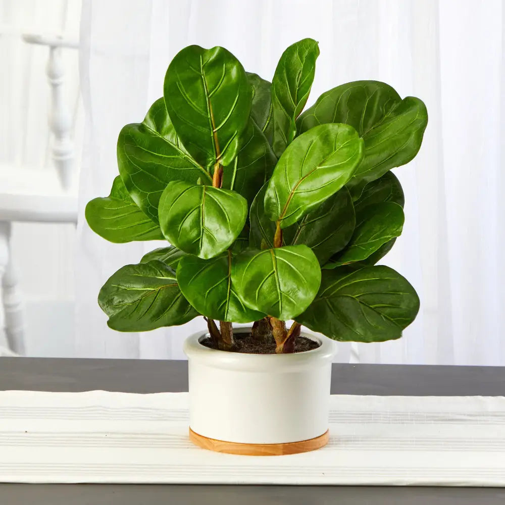 15” Fiddle Leaf Artificial Tree in White Planter - Nearly Natural