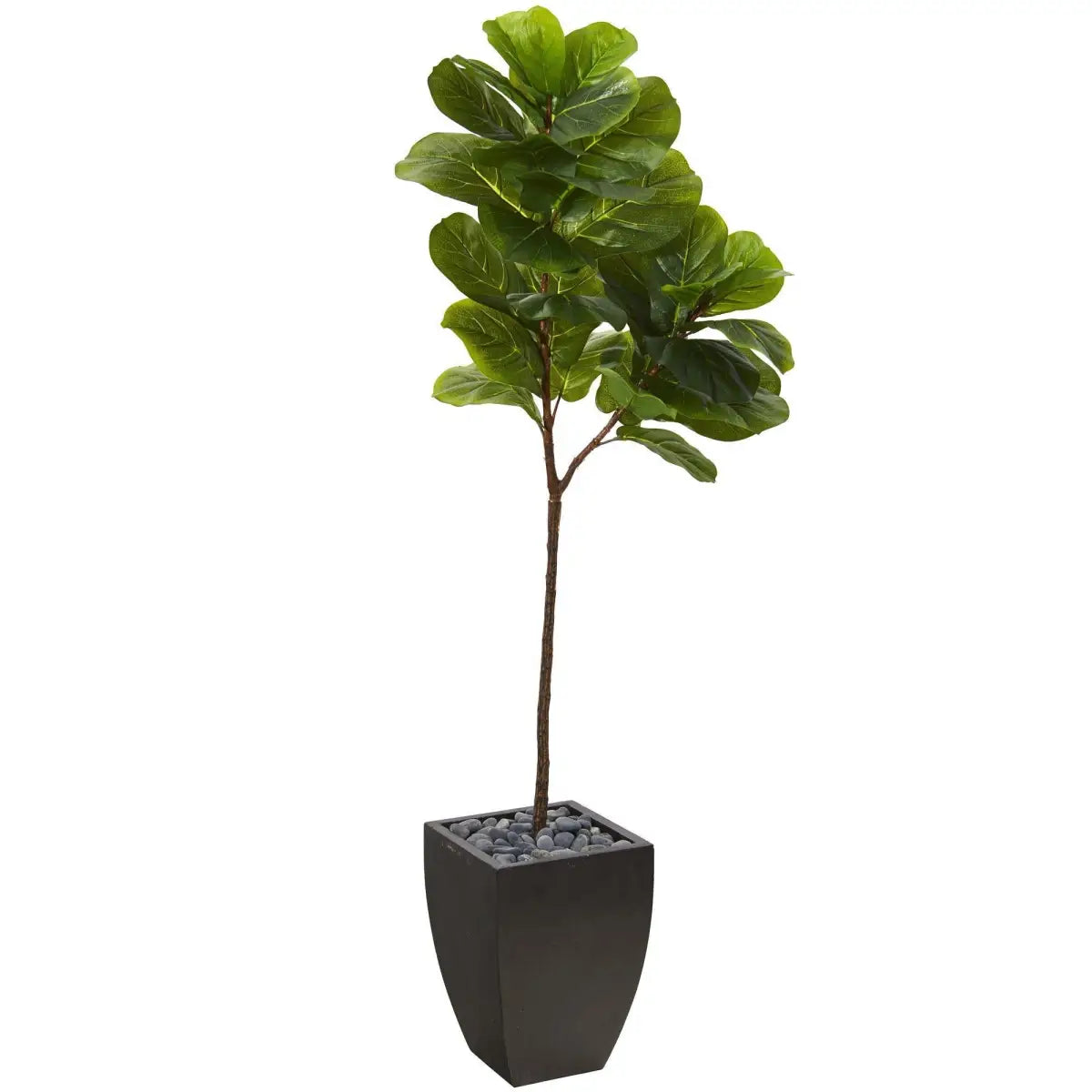 5.5’ Fiddle Leaf Artificial Tree in Black Planter (Real Touch) - Nearly Natural