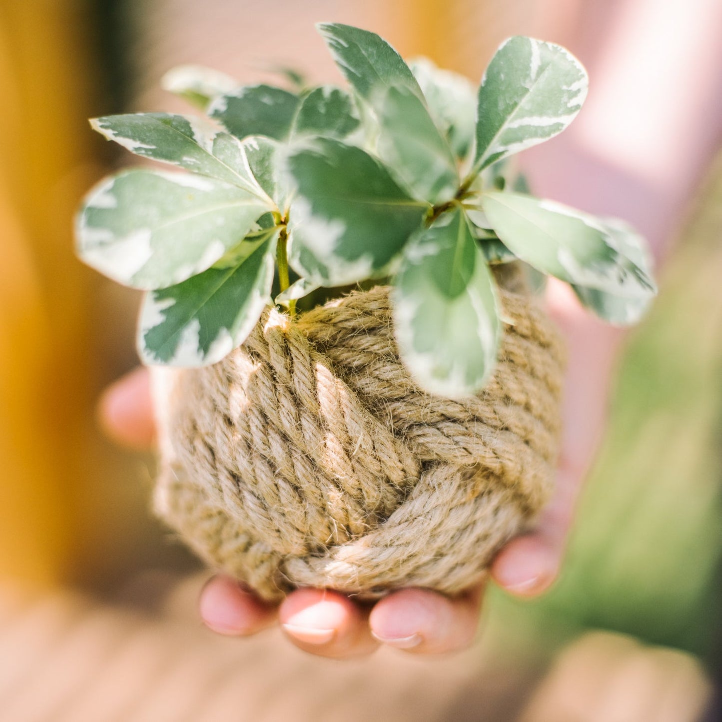 Mini Unbound Planter Jute - Starfish Project