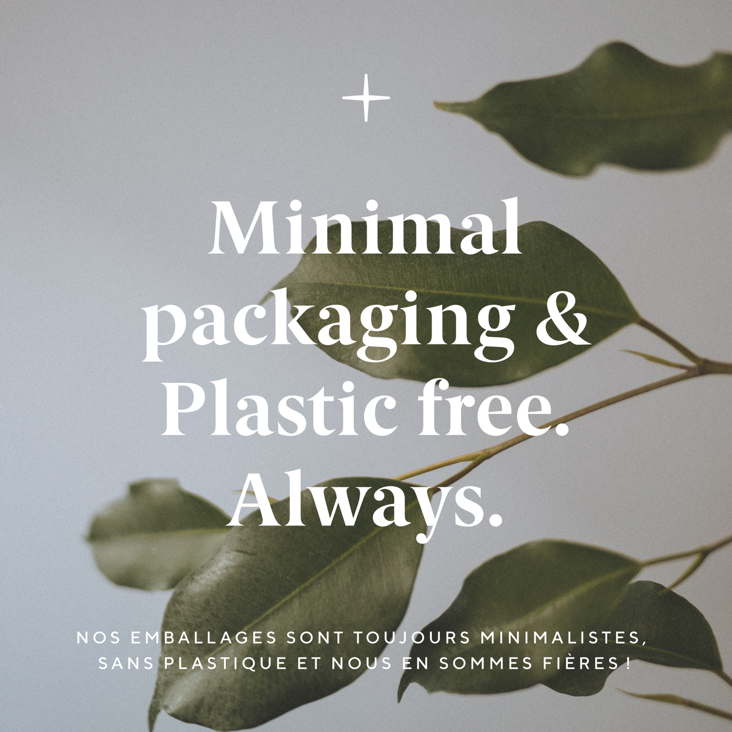 Beeswax Food Wraps Starter Set - Organic (pack of 3) - OLSEN + OLSEN