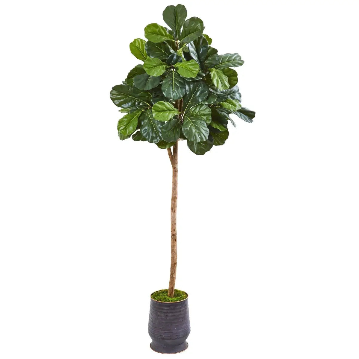 80” Fiddle Leaf Fig Artificial tree in Ribbed Metal Planter - Nearly Natural