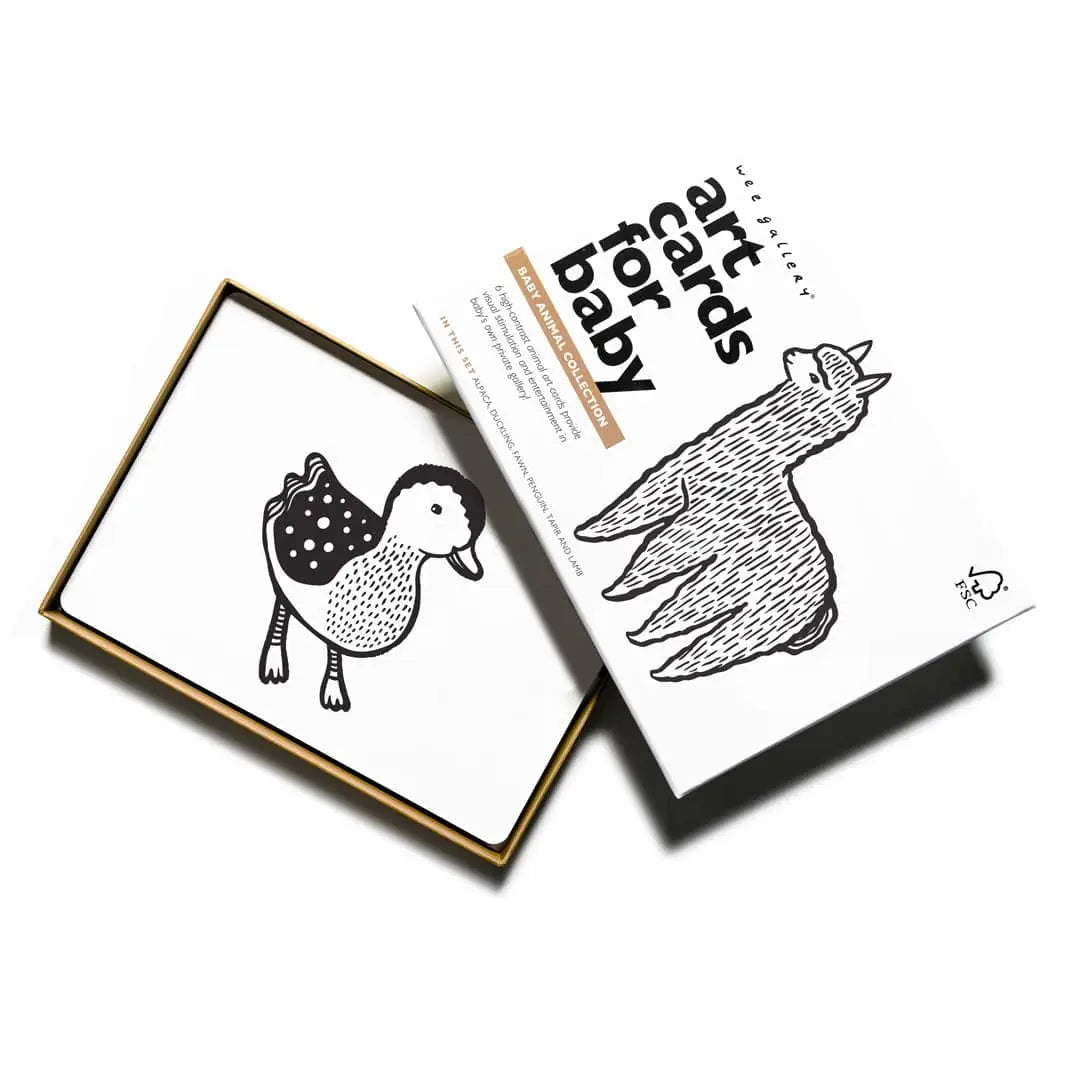 Art Cards for Baby - Baby Animals Collection - Wee Gallery