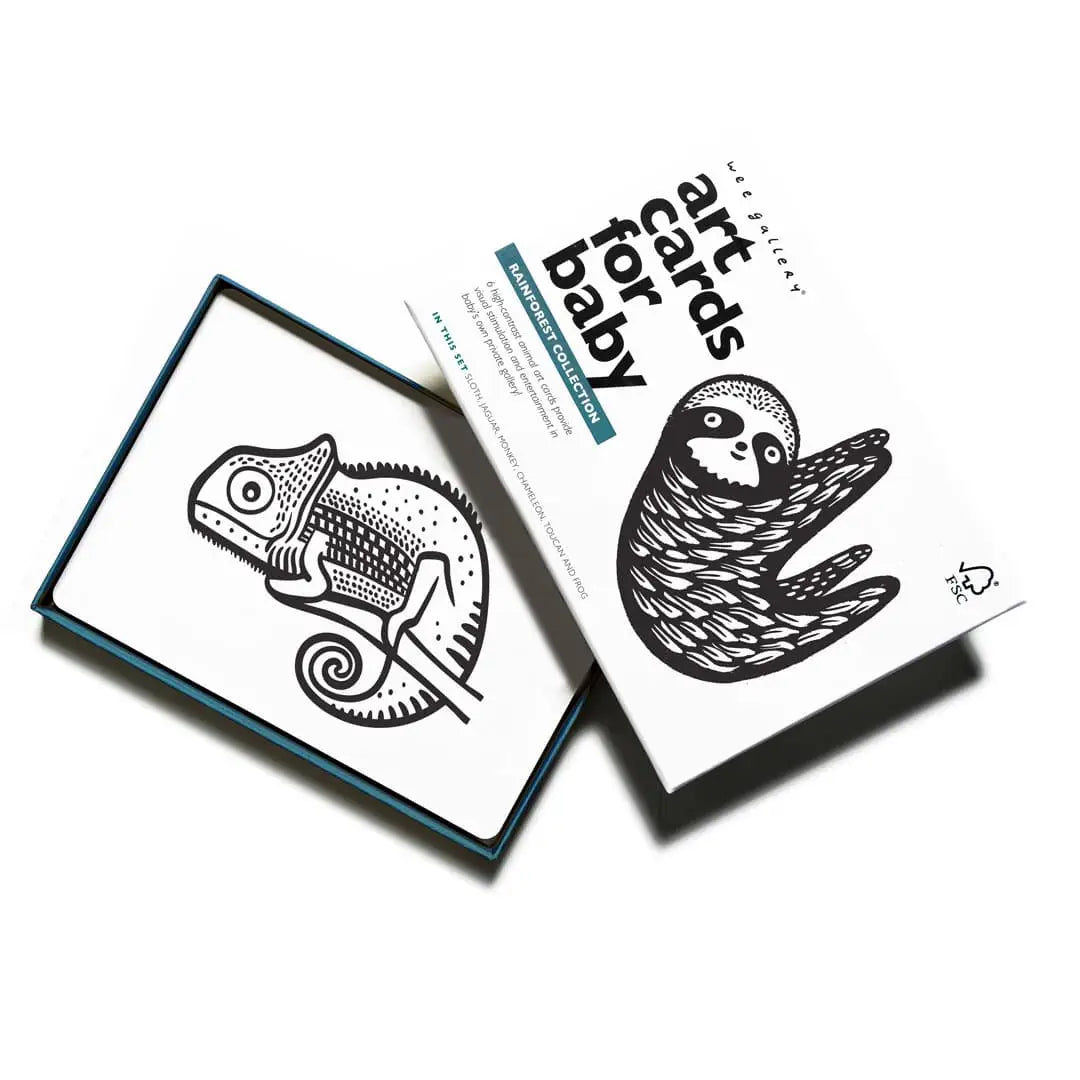 Art Cards for Baby - Rainforest Collection - Wee Gallery