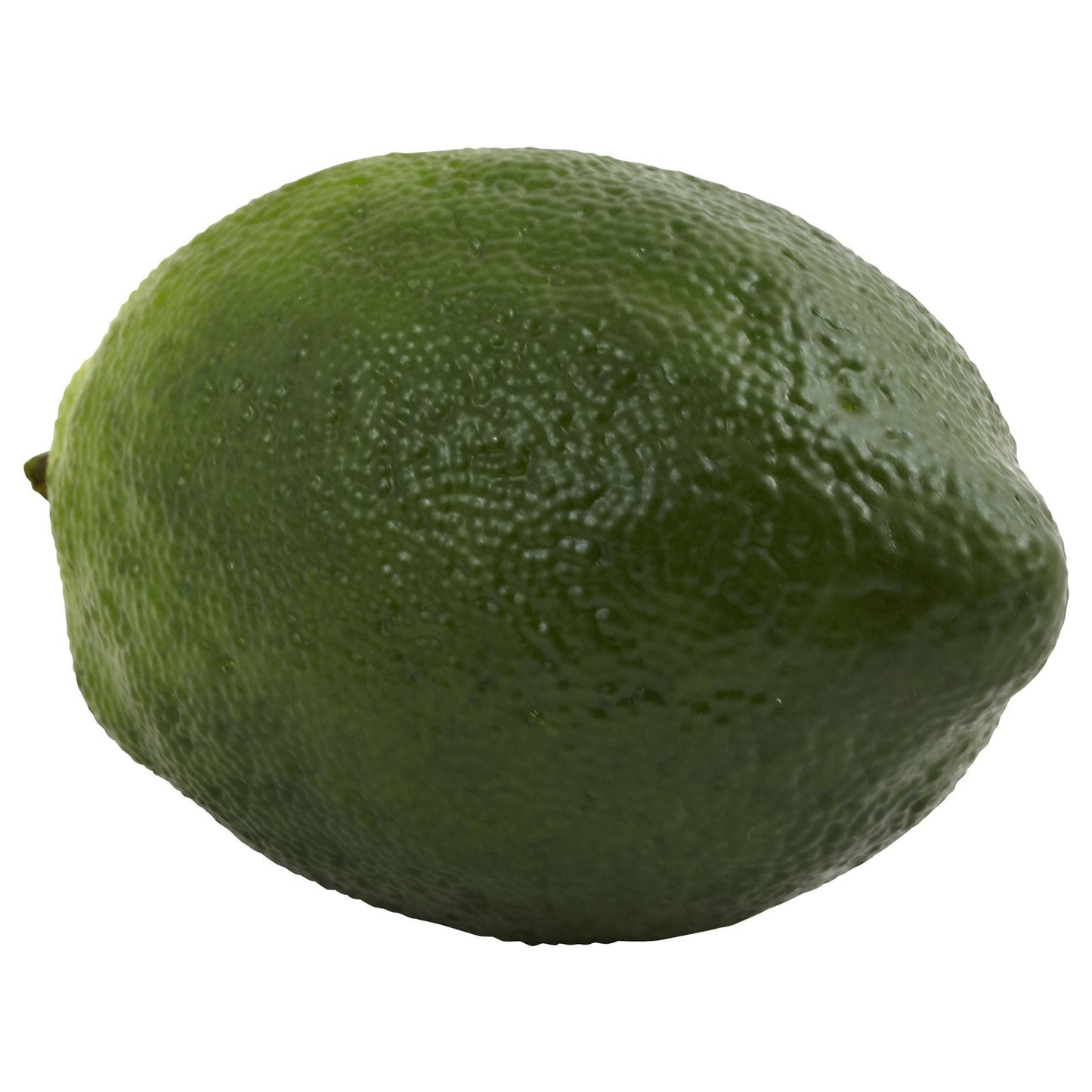 Faux Limes (Set of 12) - Nearly Natural