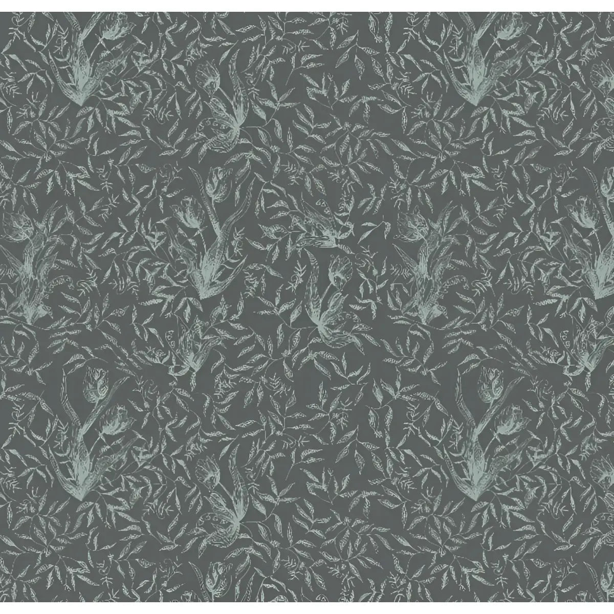 Austen Wallpaper - Botanical Tulips Drawings - by Of Lilies and Fields - Sample 1 foot by 1 foot / Dark - Loomwell Home