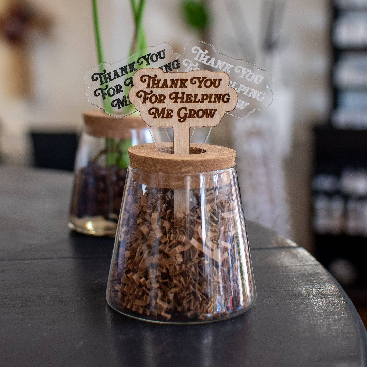 Plant Stake - Thank You For Helping Me Grow - Clear Acrylic / Frosted Engraving - Still Magnolia