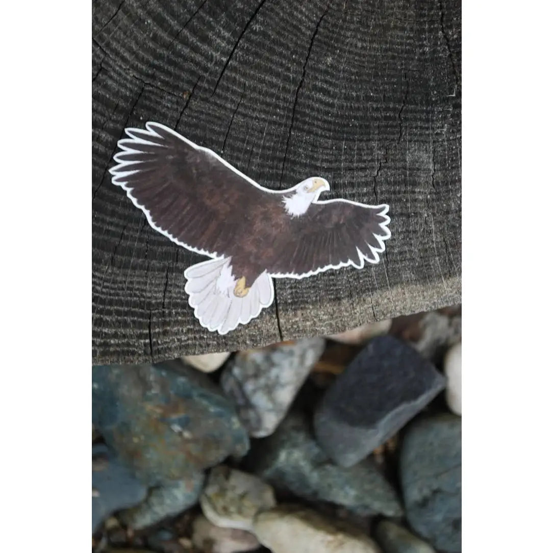 Bald Eagle Vinyl Sticker - Little Rocks Design