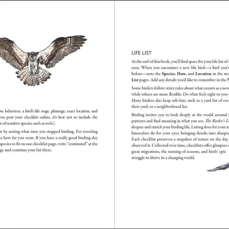 The Birder's Logbook Inside Page