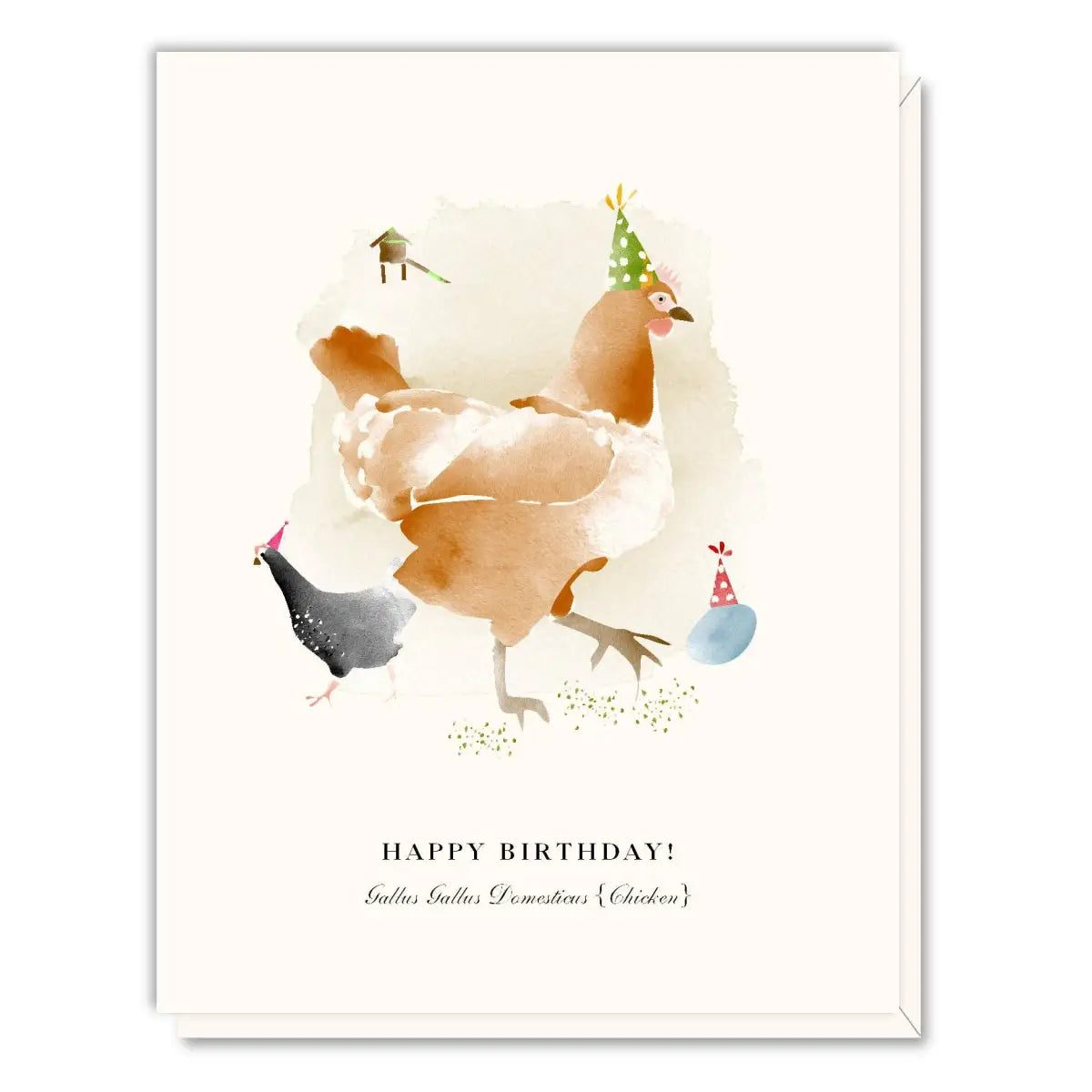 Birthday Card - Chickens - Driscoll Design