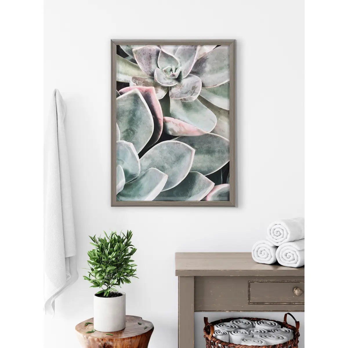 Framed Printed Glass - Botanical Succulent Plants - kateandlaurel