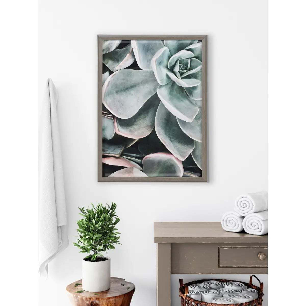 Framed Printed Glass - Botanical Succulent Plants - kateandlaurel