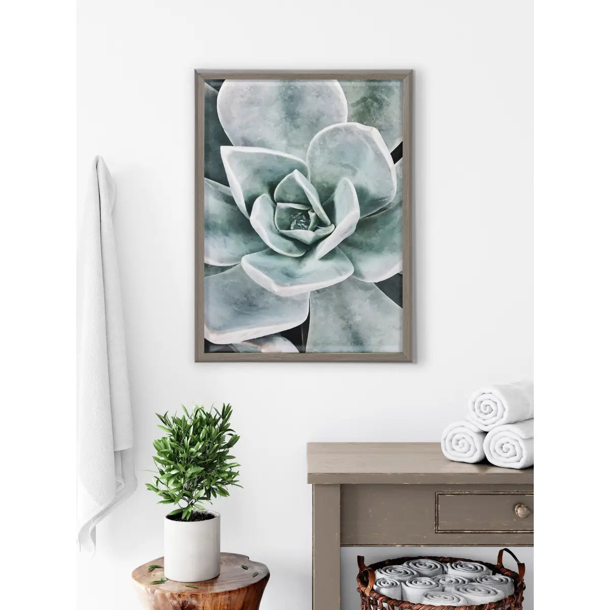 Framed Printed Glass - Botanical Succulent Plants - kateandlaurel