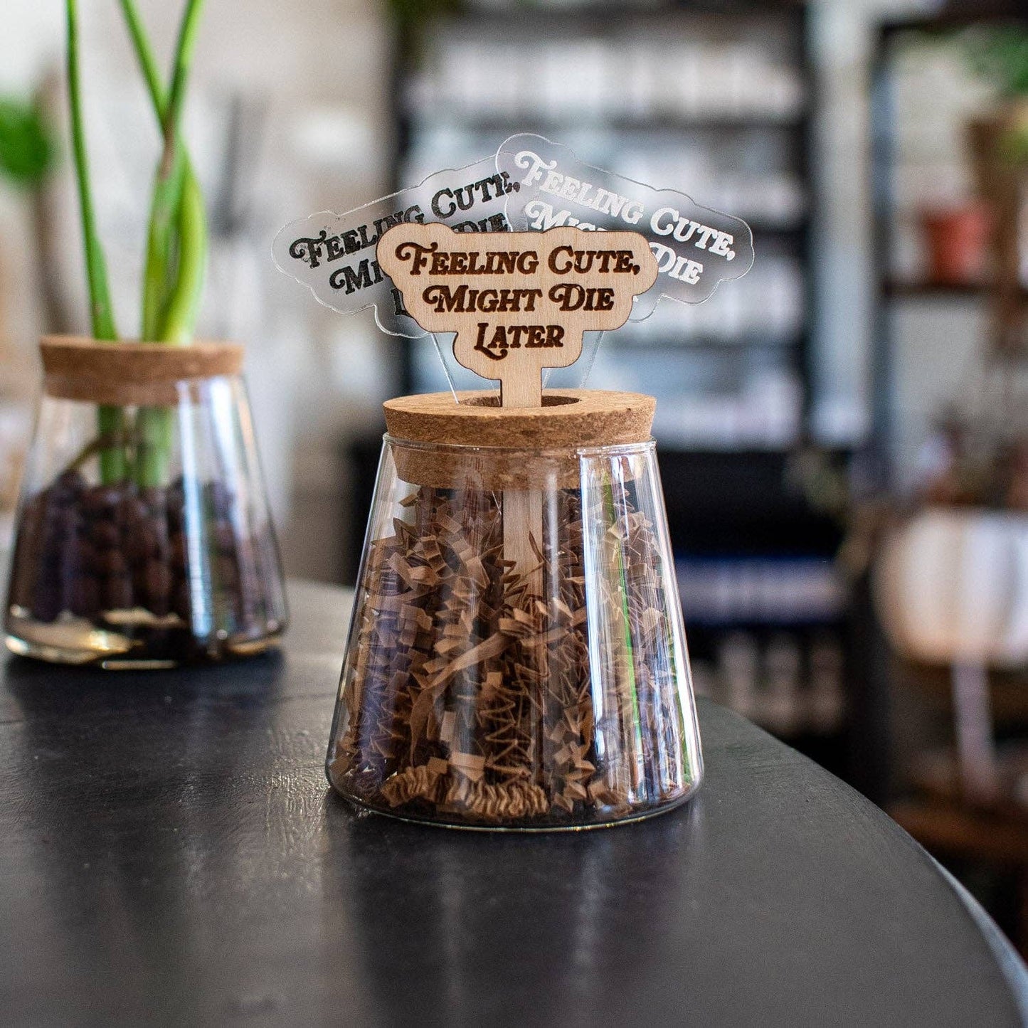 Plant Stake - Feeling Cute Might Die Later - Clear Acrylic / Frosted Engraving - Still Magnolia