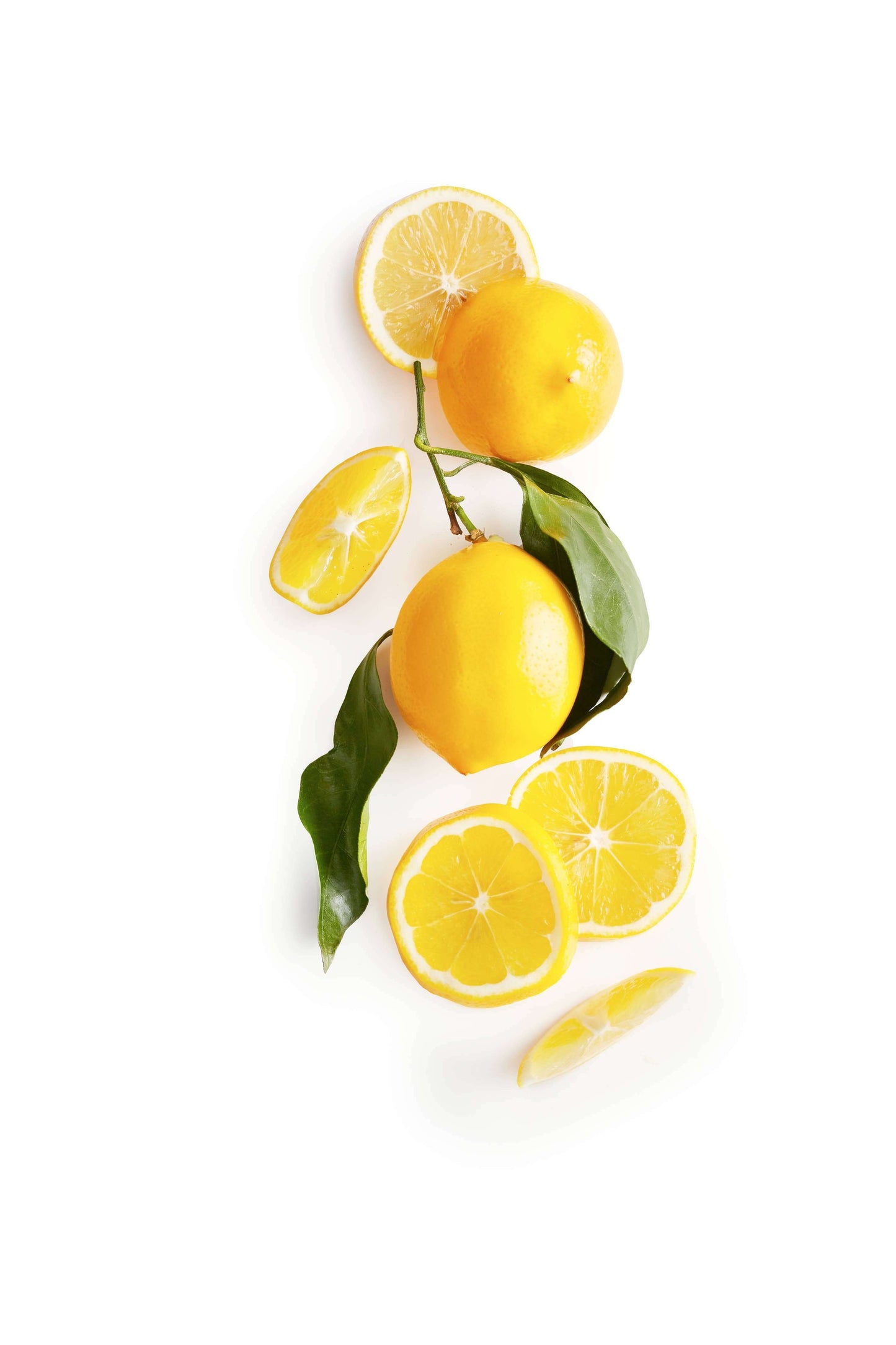 Shortbread Cookies - Meyer Lemon - Rustic Bakery