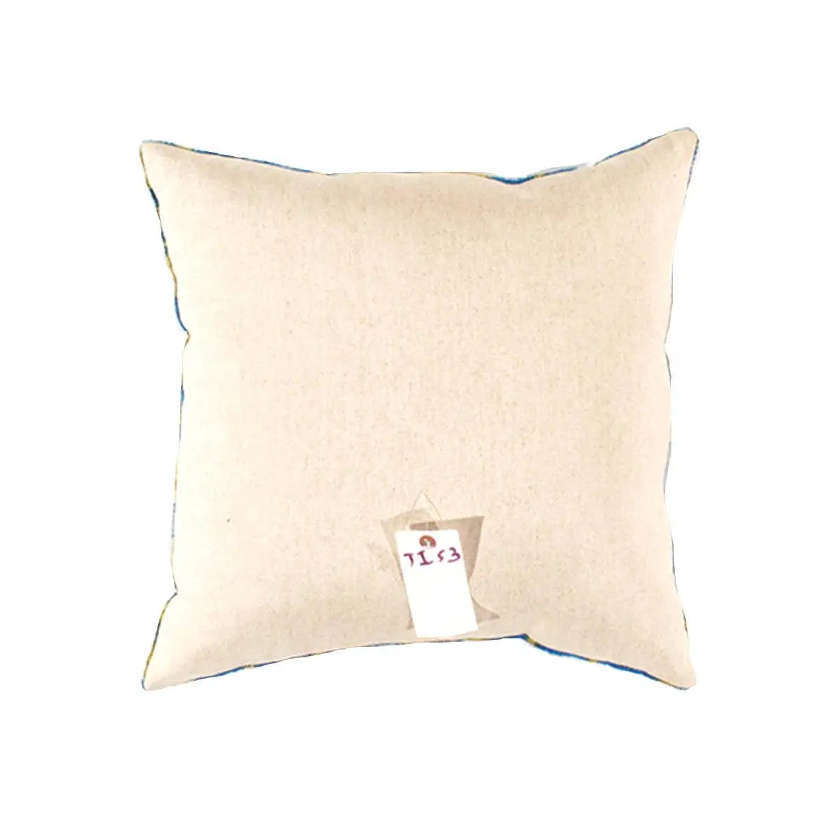 Canvello Handmade Decorative Ikat Pillow - 20’’ X 20’’ - light blue / 20’ X 20’’ - Canvello
