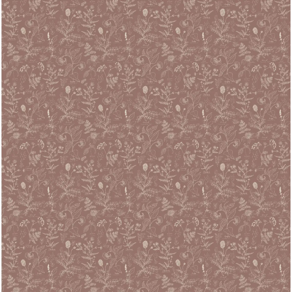 Caraway Wallpaper - Fine Floral - by Danelys Sidron - Sample 1 foot by 1 foot / Rose / Small - Loomwell Home Goods