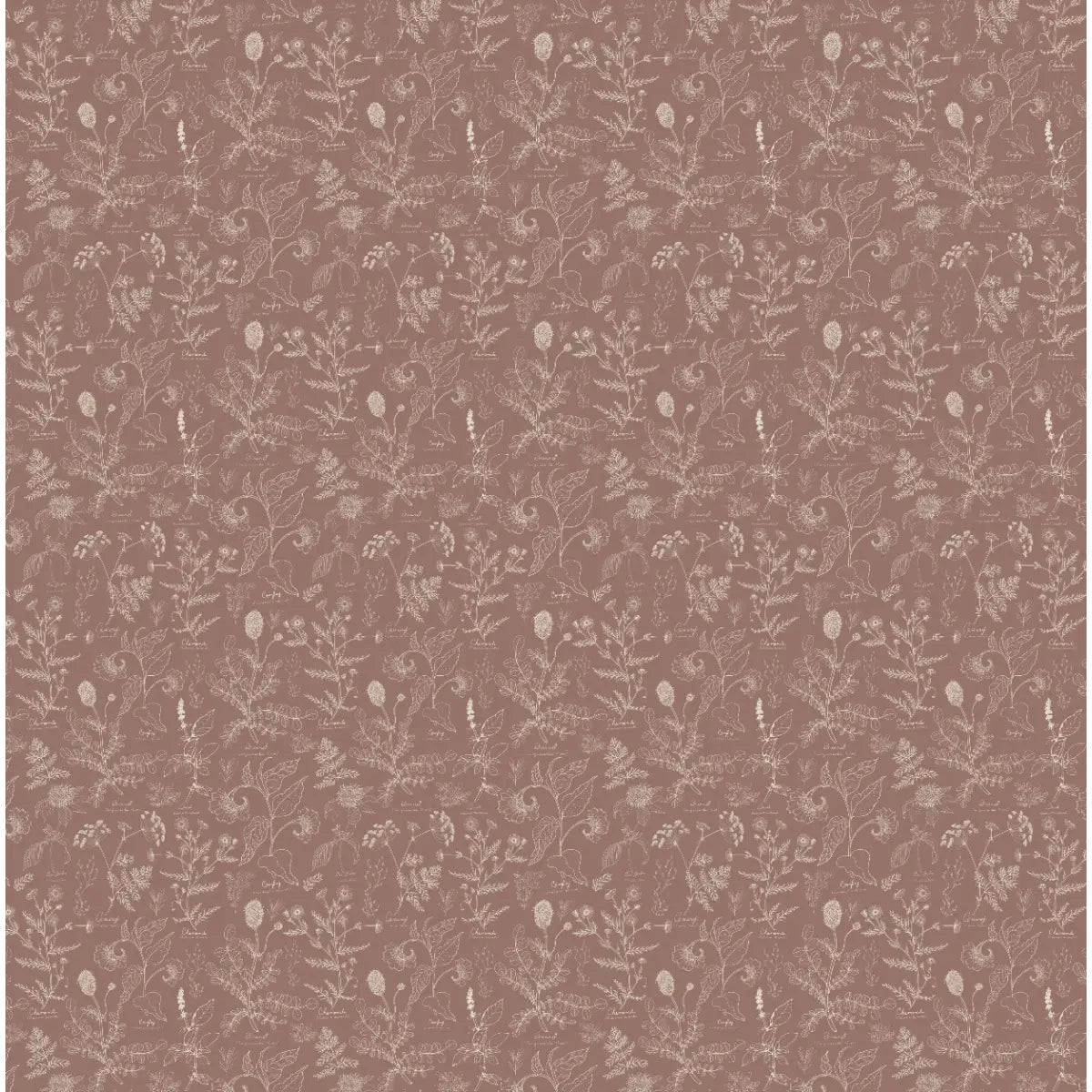 Caraway Wallpaper - Fine Floral - by Danelys Sidron - Sample 1 foot by 1 foot / Rose / Small - Loomwell Home Goods