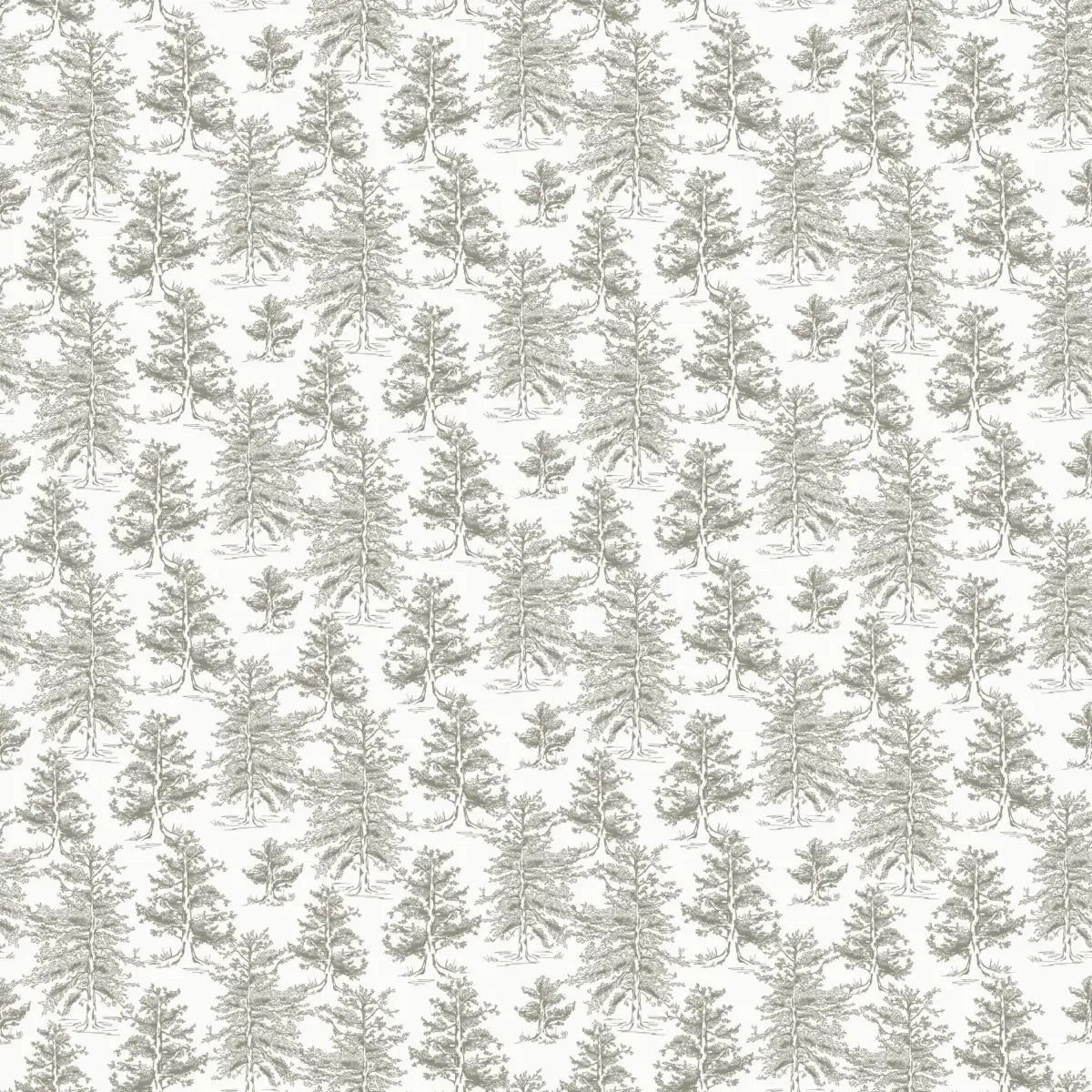 Dakota Wallpaper - Pine Tree Forest - by Aubrey Fairchild - Sample 1 foot by 1 foot / Light - Loomwell Home Goods