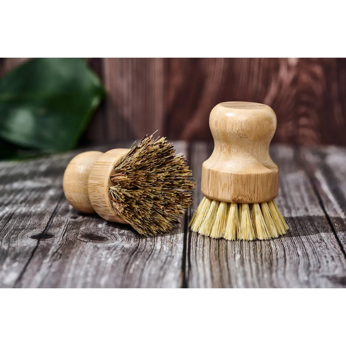 Dish Scrub Brush - Bamboo - Desesh