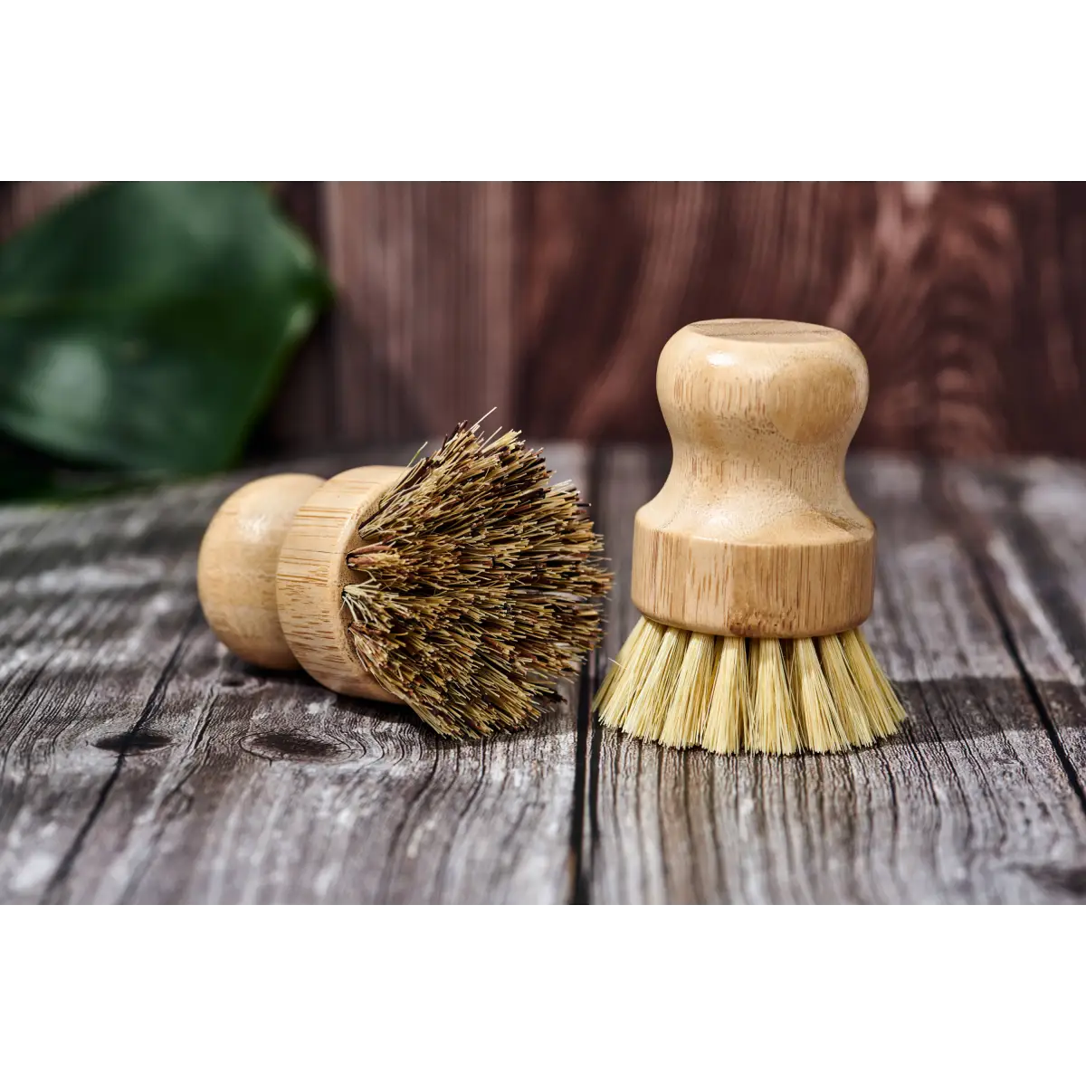 Dish Scrub Brush - Bamboo - Desesh