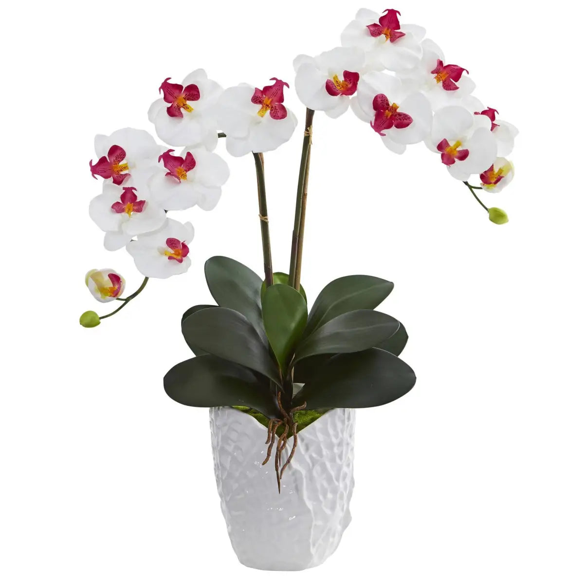Double Phalaenopsis Orchid in White Vase - White - Nearly Natural