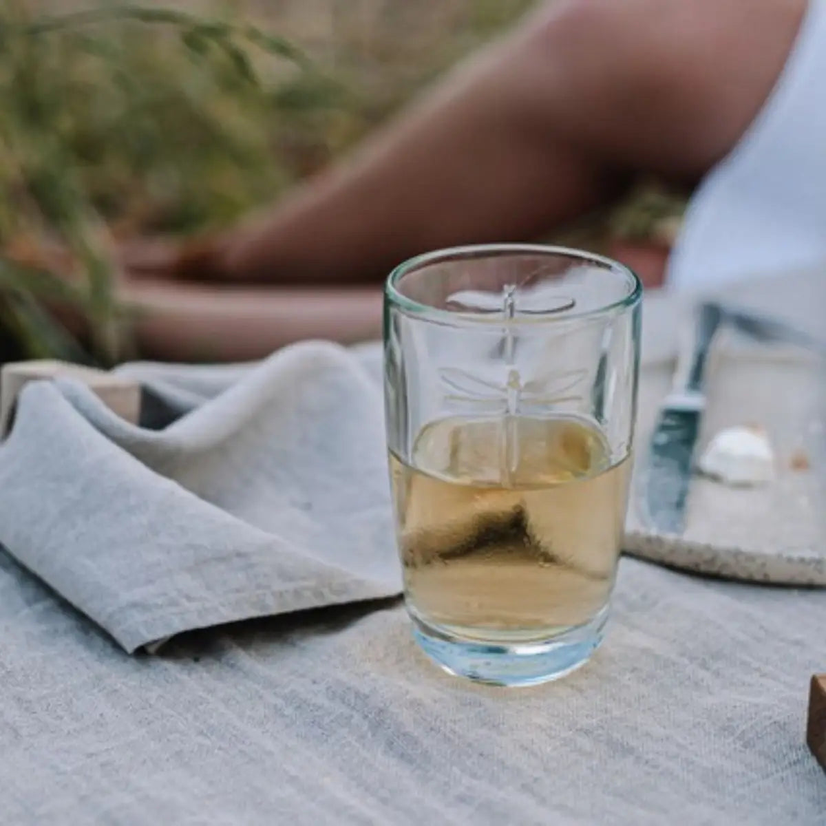 Dragonfly Juice Glass Set-6 - La Rochere NA