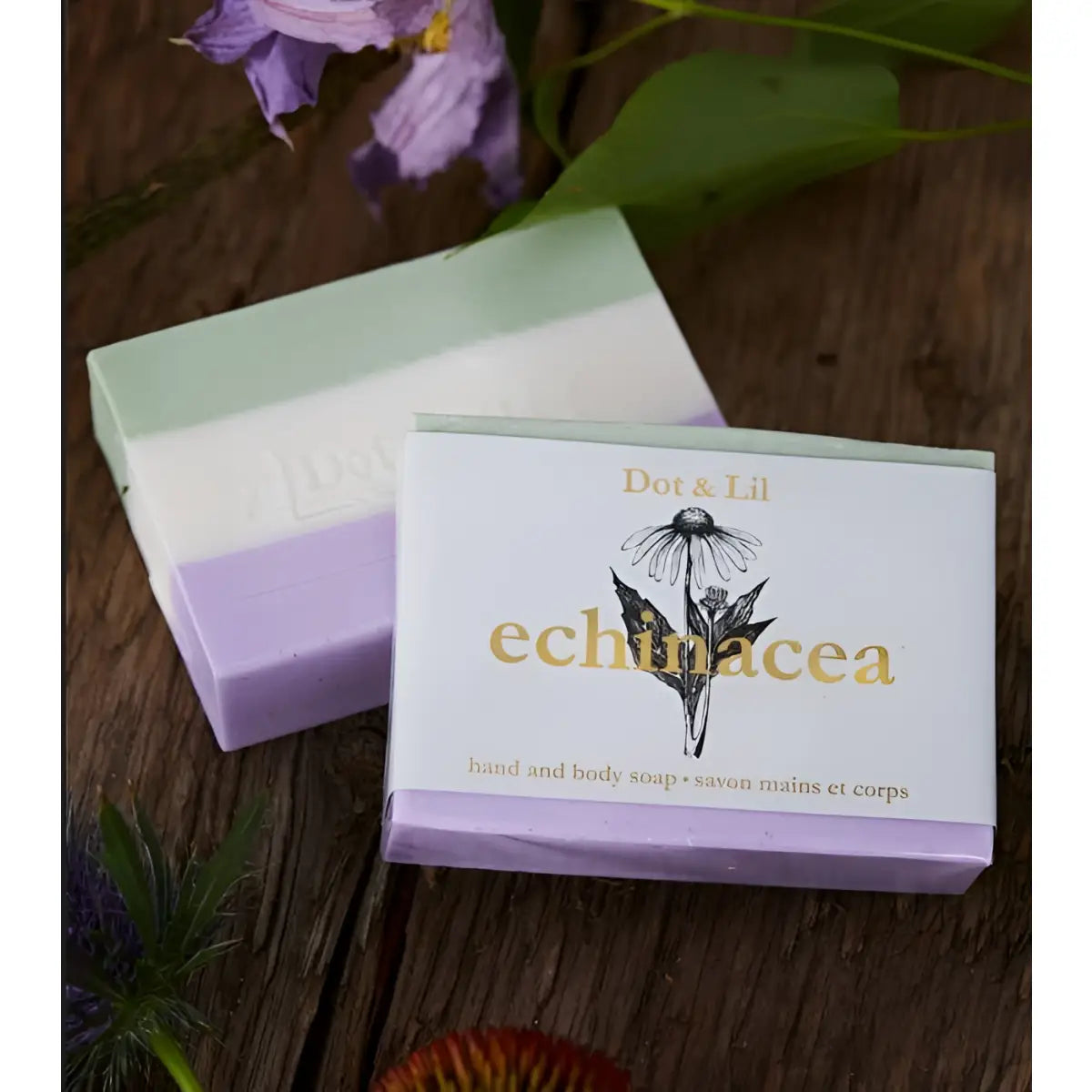 Echinacea Soap - Wildflower Collection - Dot & Lil