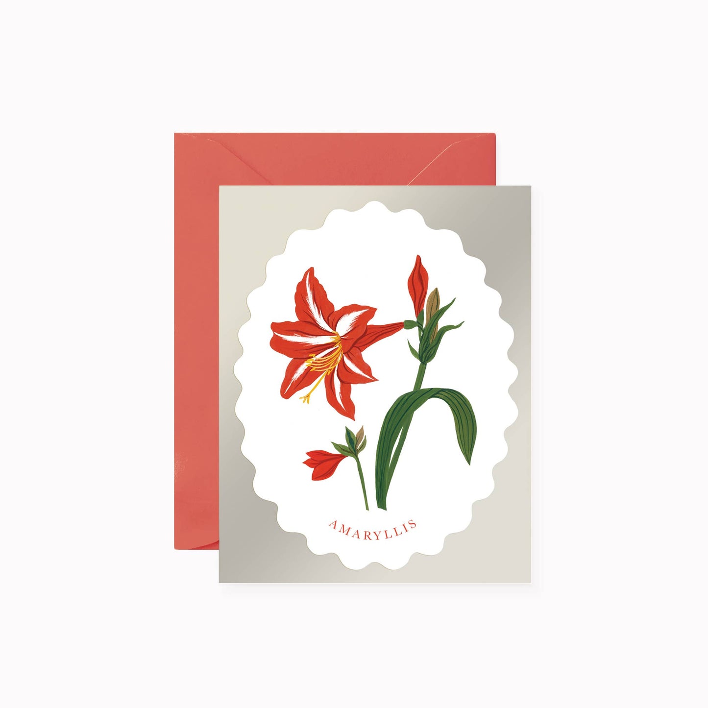 Christmas Card - Amaryllis - Botanica Paper Co.