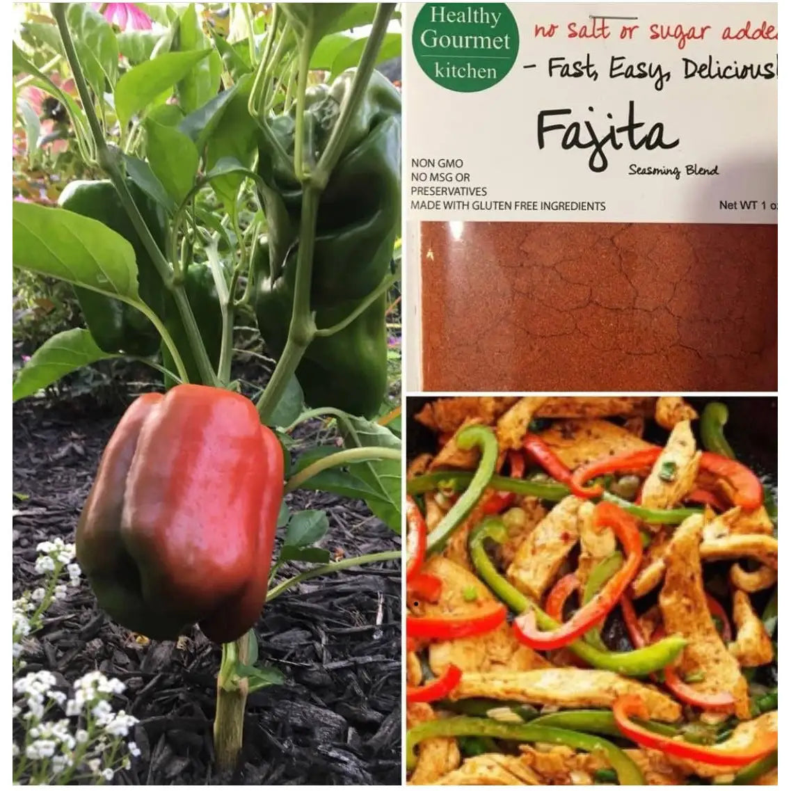 Spice Mix - Fajita Seasoning - Healthy Gourmet Kitchen