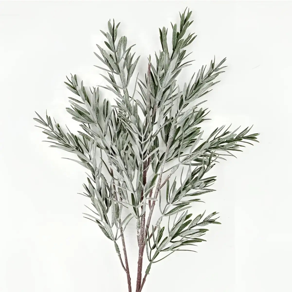 Floral Spray - Mistletoe or Rosemary - Your Heart’s Content