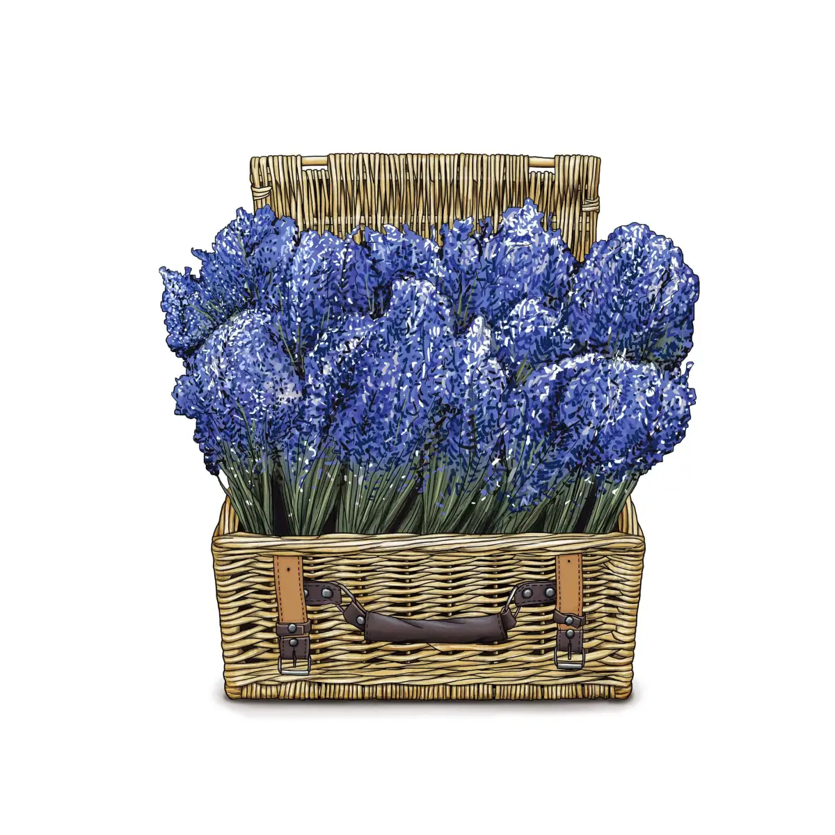 Hand Towel - Lavender in Rattan Basket - Ox Bow Decor