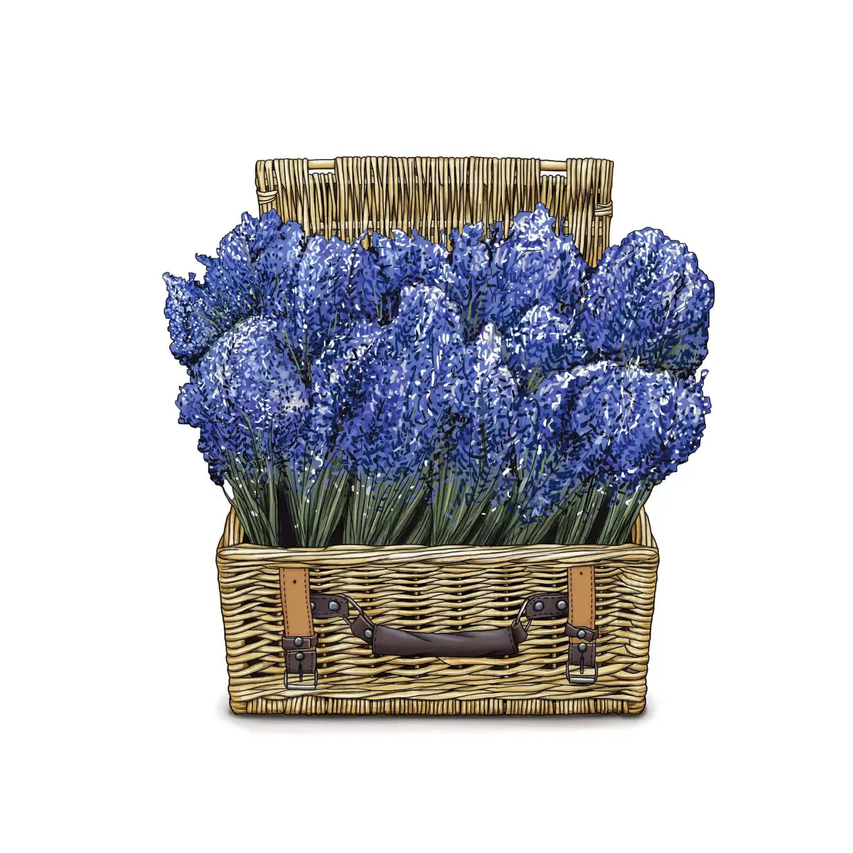 Hand Towel - Lavender in Rattan Basket - Ox Bow Decor