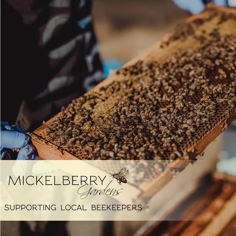 Herbal Honey Tonic Spray - Honey Propolis - Sore Throat Relief - Mickelberry Gardens