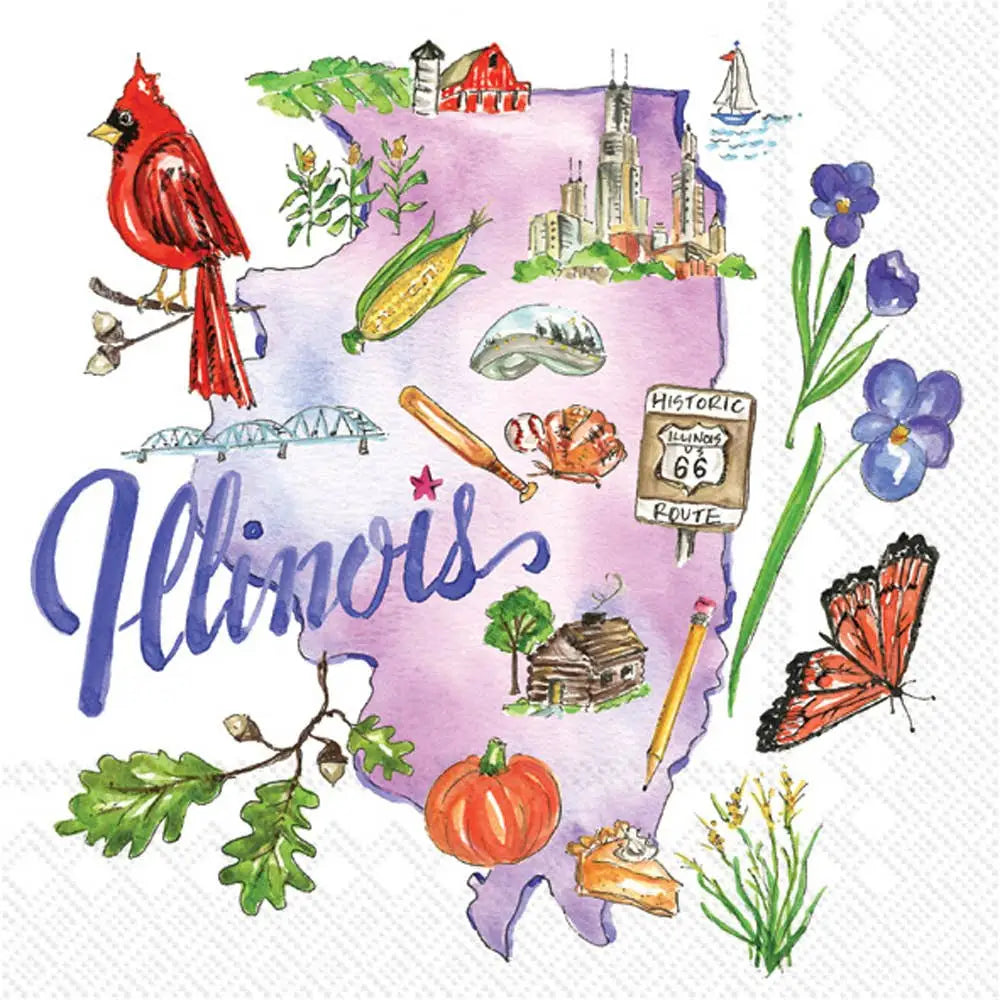 Illinois IL Paper Cocktail Napkins 20 ct State Collection - Boston International