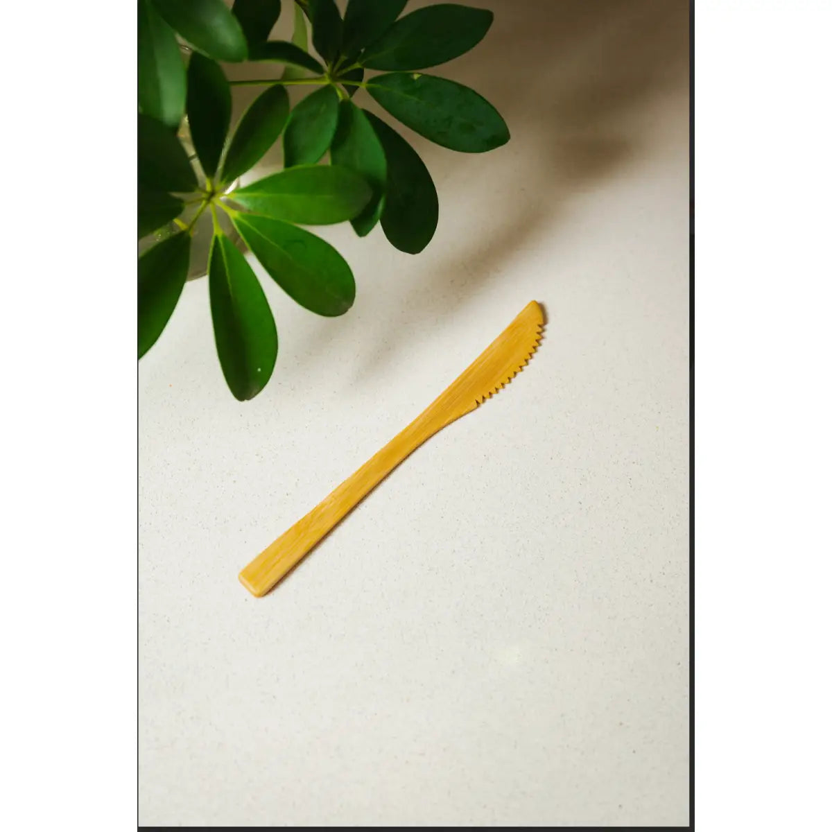 Bamboo Knife Spreader - Bamboo Switch
