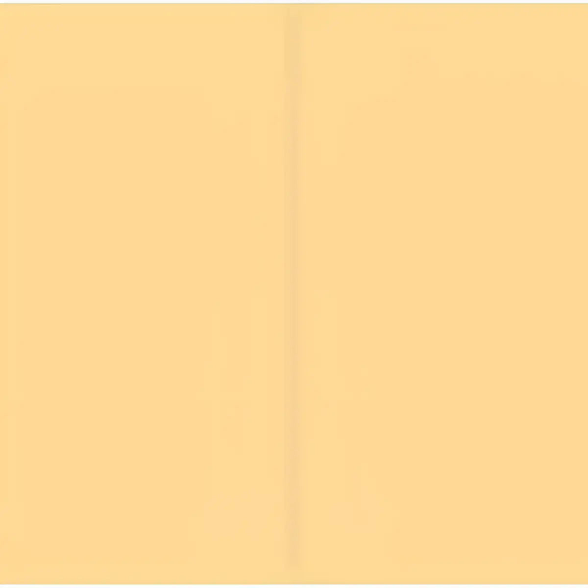 Journal Kraft Paper Refill (2-Pack) - Peter Pauper Press