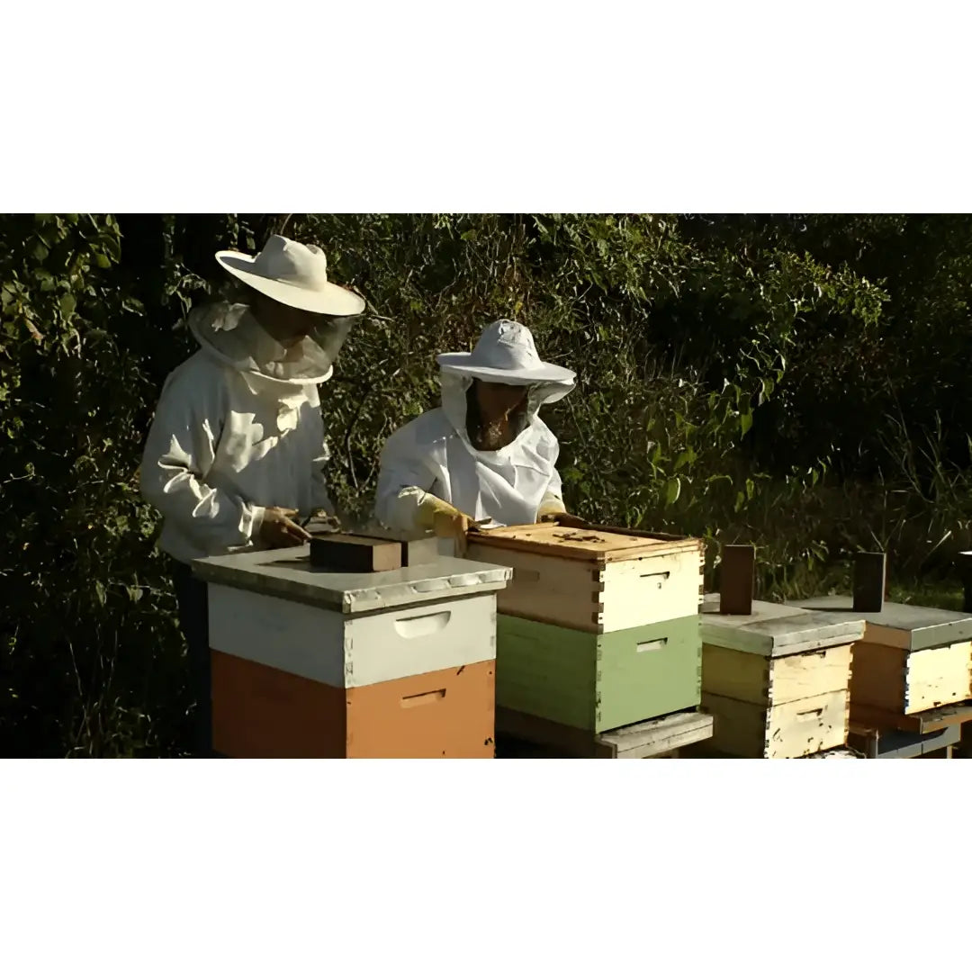 Lip Balm - Earl Grey Tea - Handmade with Beeswax - Messner Bee Farm