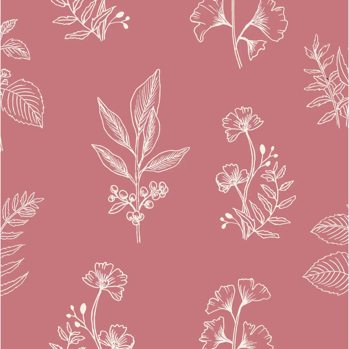 Luca Wallpaper - Botanical Specimens - by Manvi Semalty - Sample 1 foot by 1 foot / Pink - Loomwell Home Goods
