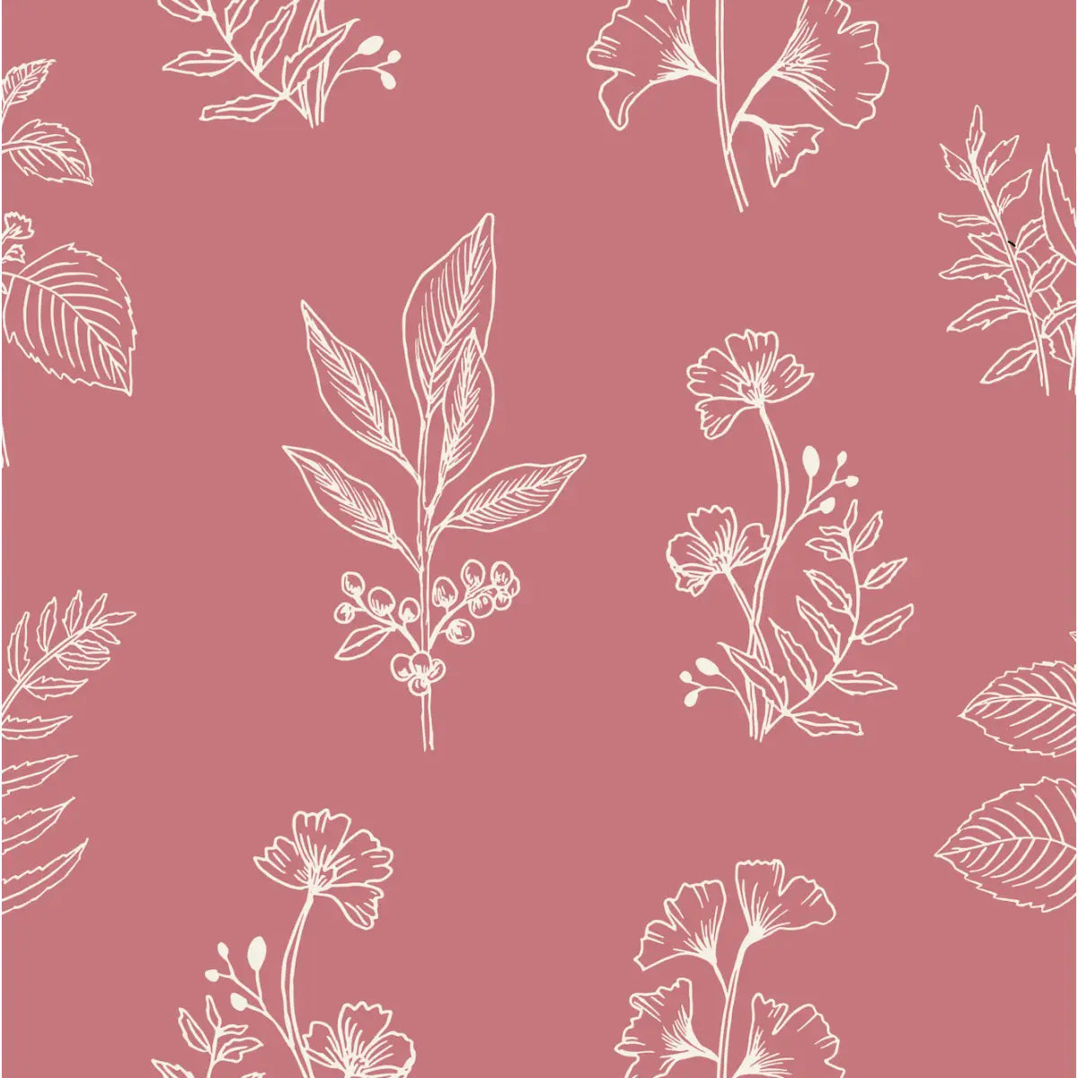 Luca Wallpaper - Botanical Specimens - by Manvi Semalty - Sample 1 foot by 1 foot / Pink - Loomwell Home Goods