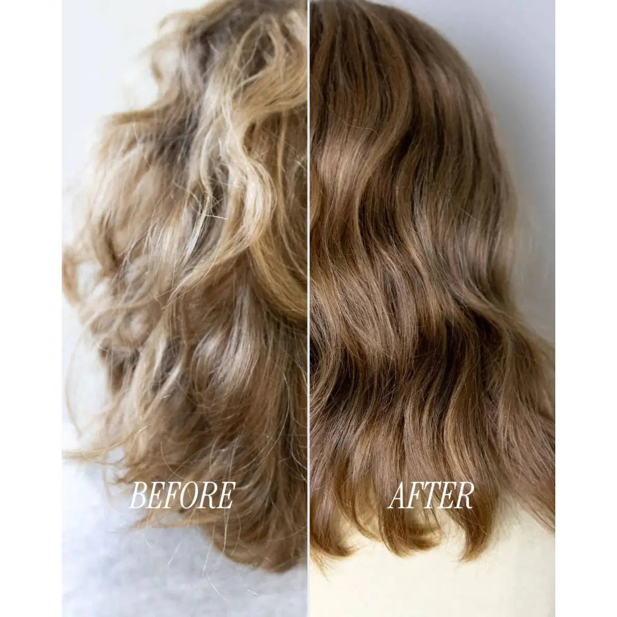 Shampoo Bar - Maintain - Growth & Shine - Loxy