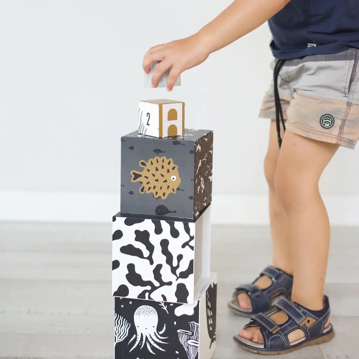 Nesting Blocks - Ocean Animals - Wee Gallery