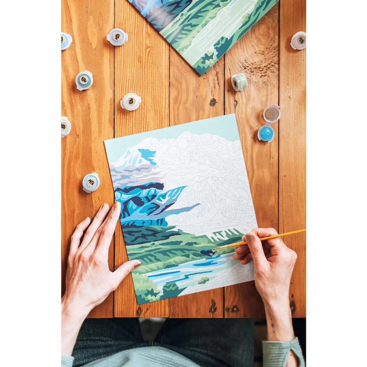 Paint by Number Kit - Denali National Park - Elle Crée