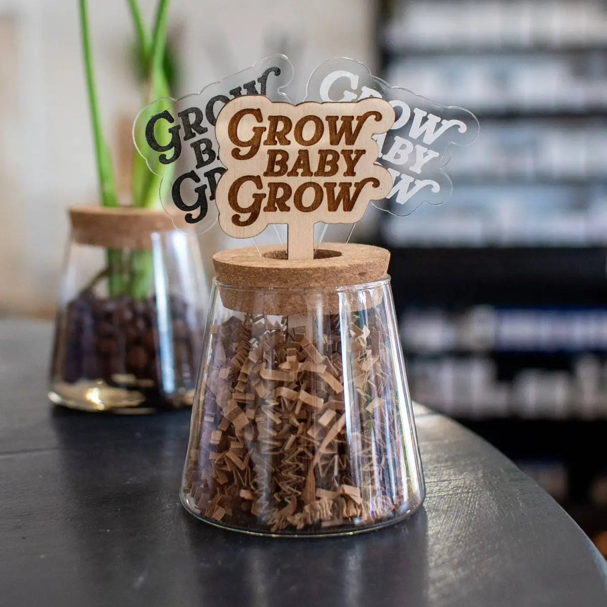 Plant Stake - Grow Baby Grow - Clear Acrylic / Frosted Engraving - Still Magnolia