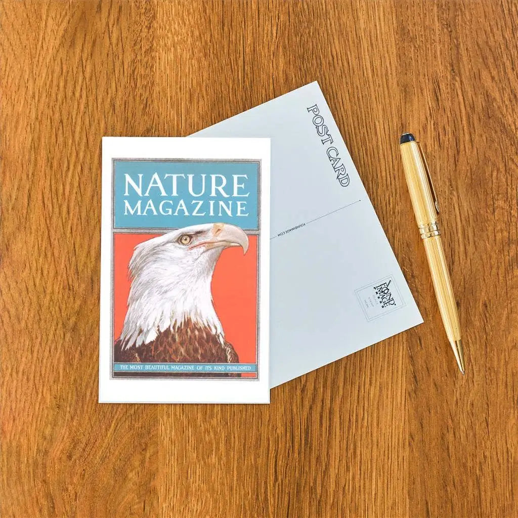 Postcard - Nature Magazine Cover with Bald Eagle - Found Image Press