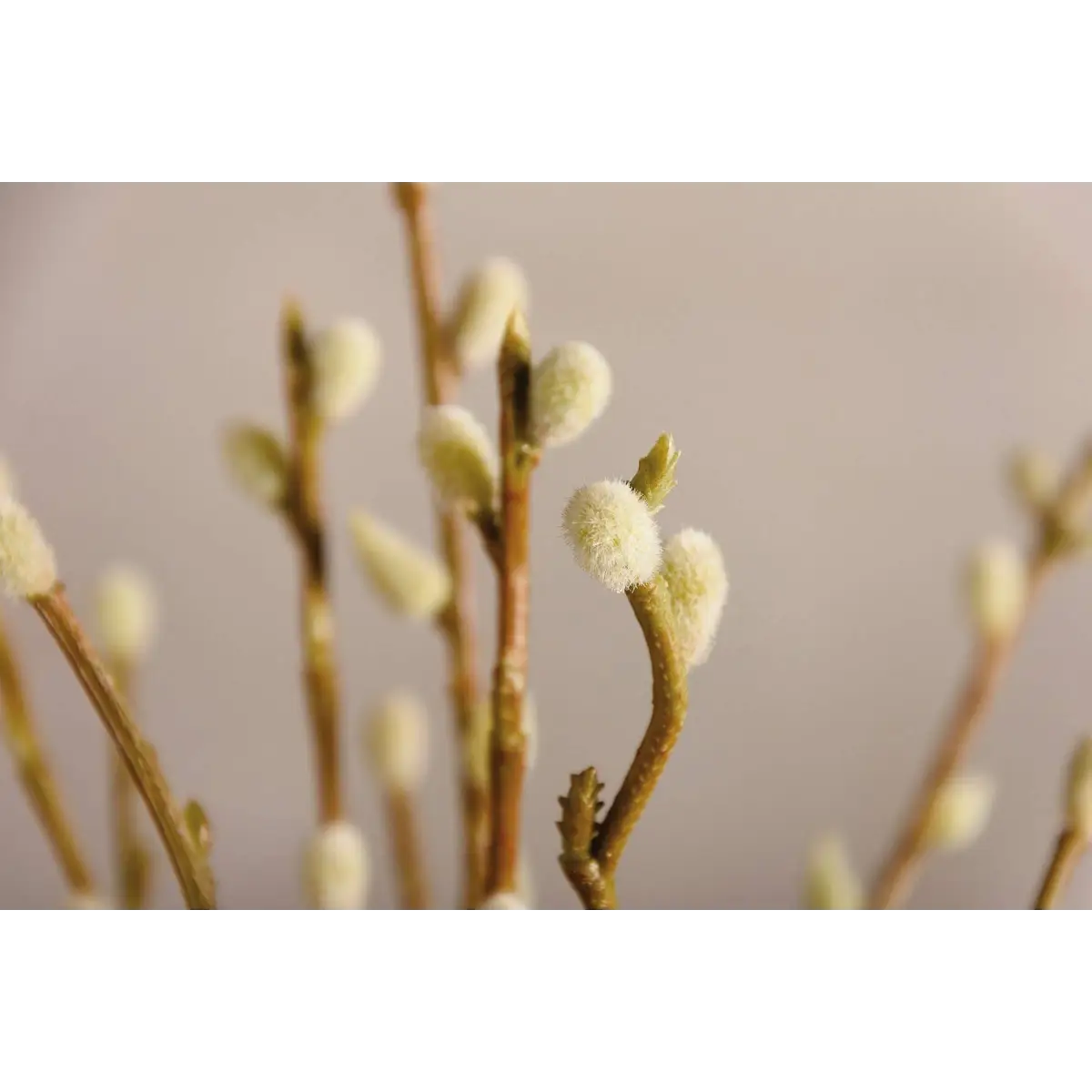 Pussy Willow Bouquet - Primitives by Kathy