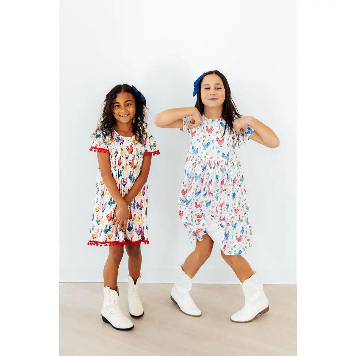 Rainbow Roosters S/S Pocket Twirl Dress - Mila & Rose ®