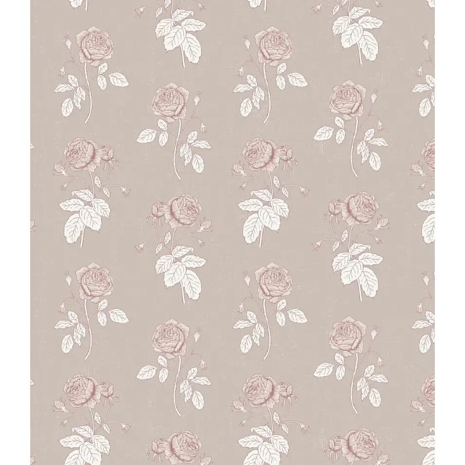 Rosalie Wallpaper - Rose Line Drawings - by Brittany Polatis Design - Sample 1 foot by 1 foot / Griege - Loomwell Home