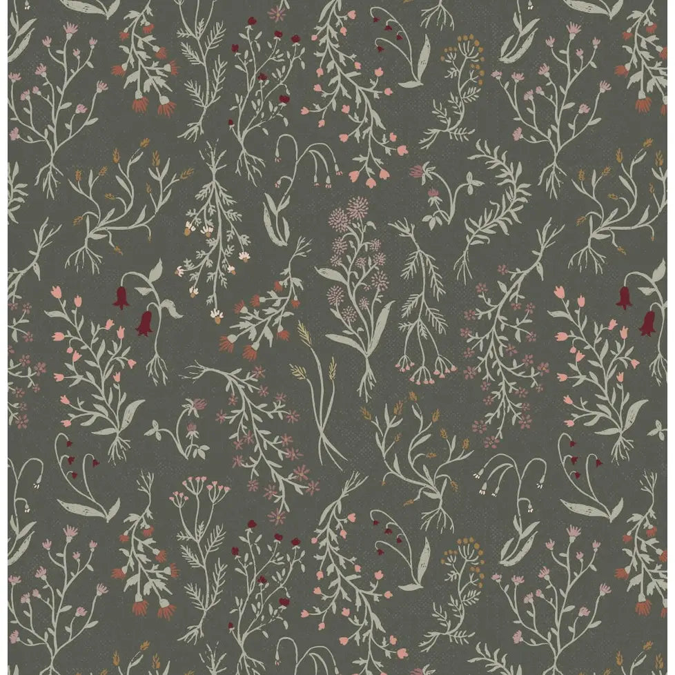 Roscoe Wallpaper - Wildflower Specimens - by Brittany Polatis Design - Sample 1 foot by 1 foot / Olive - Loomwell Home